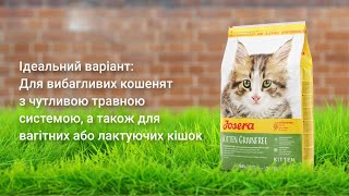 Josera (Йозера) Kitten Grainfree – Сухой беззерновой корм для котят, беременных и кормящих кошек (домашняя птица)