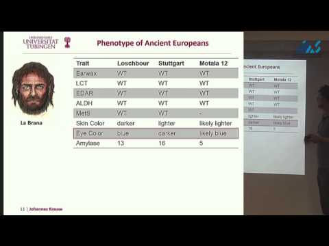 Johannes Krause -Ancient human genomes suggest three ancestral populations for modern Europeans