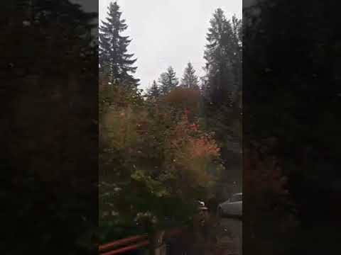 В Микуличині падає сніг. ВІДЕО