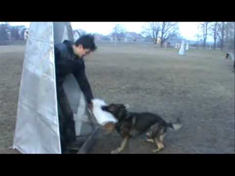 Argo z Jukasu - protection - 3/2011