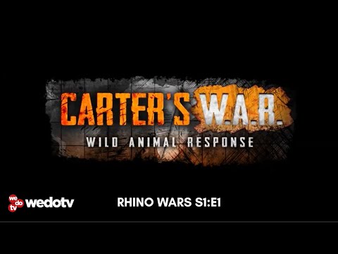 Rhino Wars | Carter's W.A.R. S1/E1 | wedotv