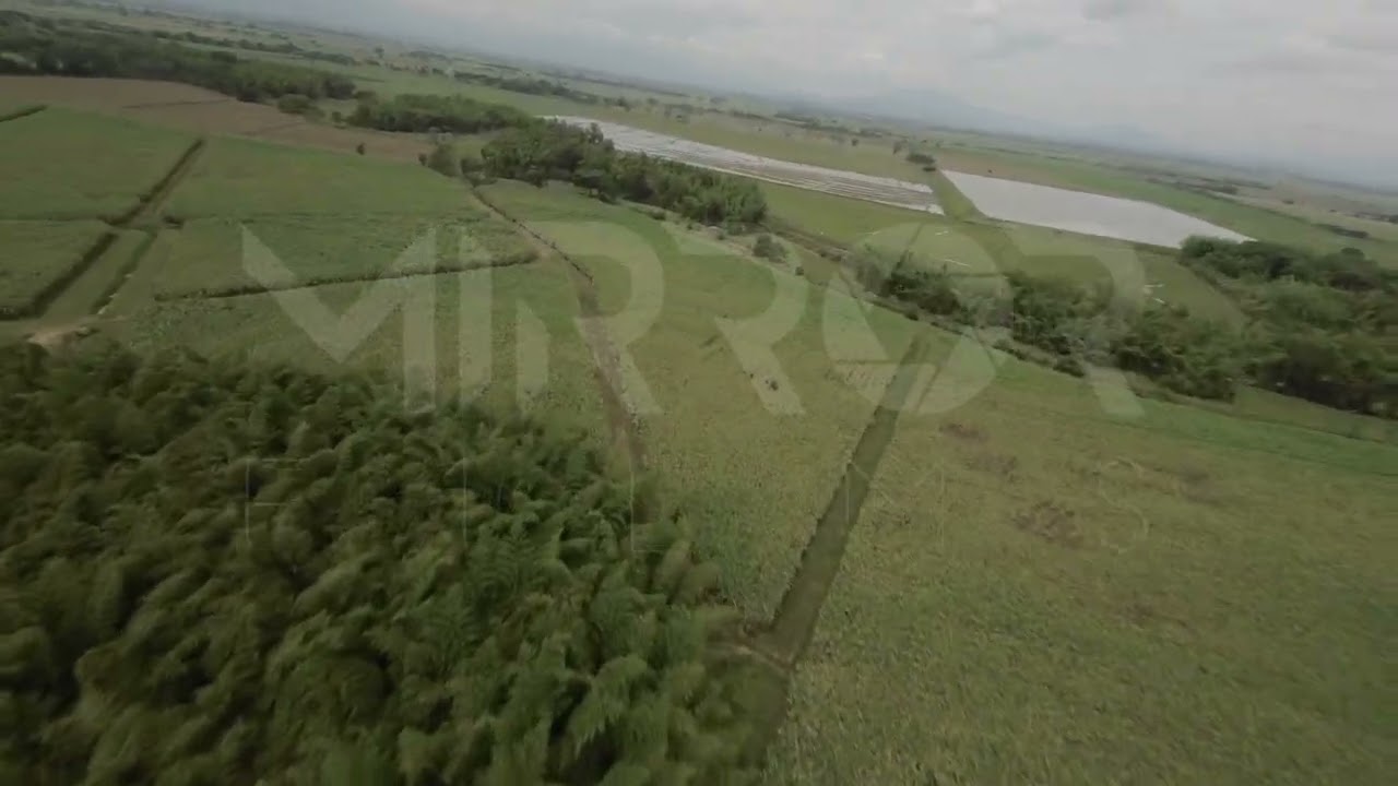 Cultivo de Caña FPV P6