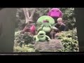 Barney Hoo S In The Forest Ribbit Frog Sounds 1993