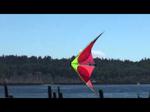 Dual Line Framed Kites - Nexus