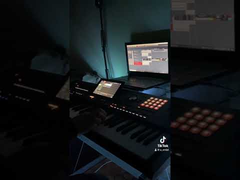 ERDAL - Brutalno kolo🪗 (Cover)2024