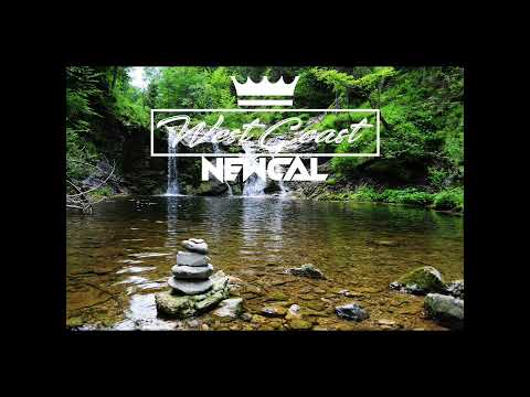 Nasckom & Leila - A Qui La Faute (Zouk Remix) 2k23