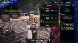 [mhw]極ベヒ今日こそ倒します。