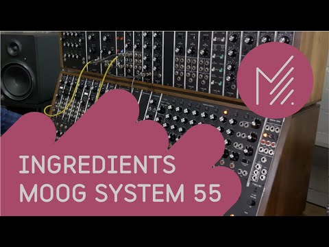 Moog System 55 - MESS INGREDIENTS