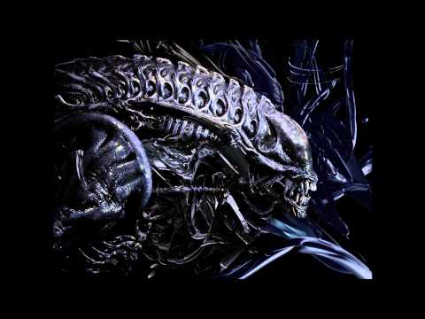 Loop Stepwalker - Immortal Feelings