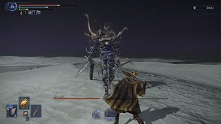 【エルデンリングナイトレイン】ナメレスソロ※微パリィ