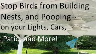How to Stop Birds from Building Nests, and Pooping around your House and Cars.