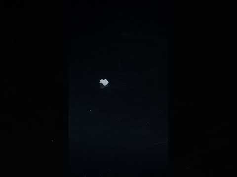 YouTube 썸네일