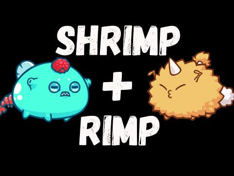 RANK 1 SHRIMP AQUA + RIMP BEAST | AXIE INFINITY SEASON 20 META