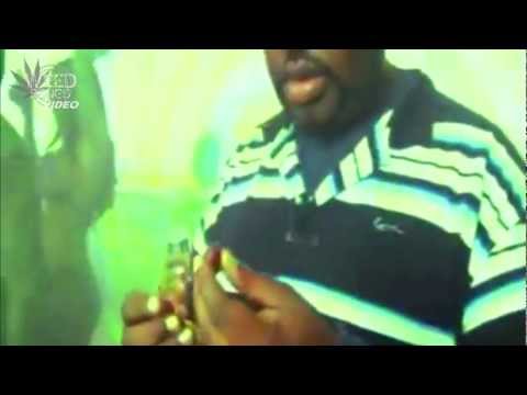 Weed Songs: Donald Faison ft. Rich Digga - Alien Weed Song