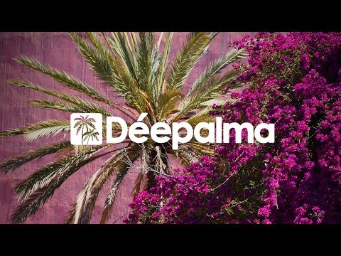 Suonare - You're Gone [Déepalma Records]