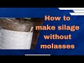 Silage Making Process Without Molasses In Kenya 2023