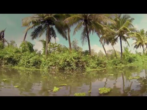 Dargen D'Amico - L'Universo Non Muore Mai