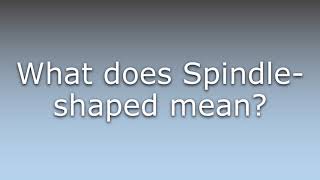What does Spindle-shaped mean