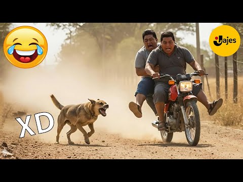 SI TE RÍES PIERDES NIVEL DIOS #164 🤣 VIDEOS DE RISA 😎HUMOR VIRAL MEXICANO🤣