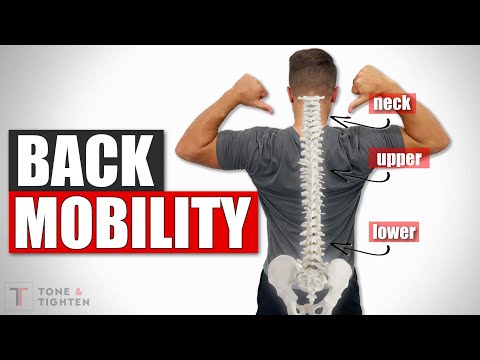 How To Stretch Your Back! Back Mobility Follow Along Routine Video