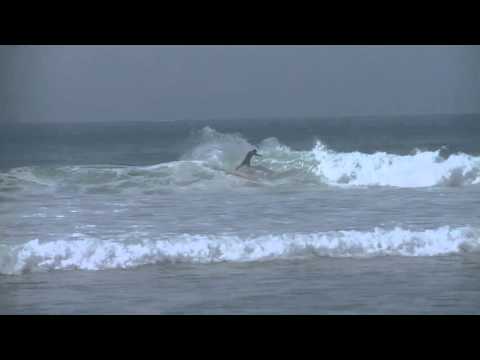 Michel Bourez Lip Action - Trestles 2015 Highlights