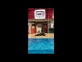 Sea Lion Show At SeaWorld
