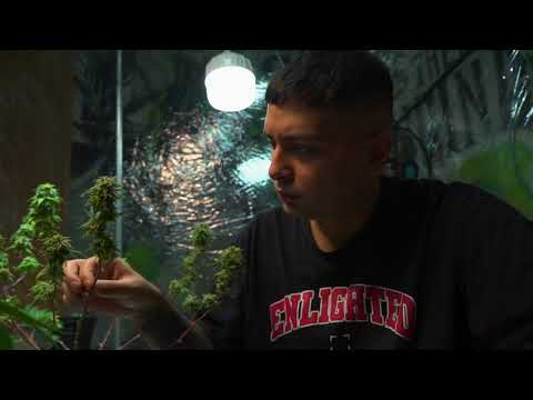 Autotune - Big Deiv & 808GOD (Official Video)