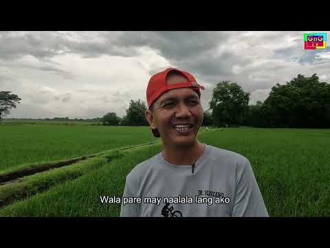 Pal-eng nakigtot Kenni Boss Berto