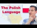 The Polish Language (Is this real?!)