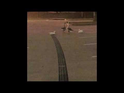 91. biocide - hypothermia [09.02.2020]