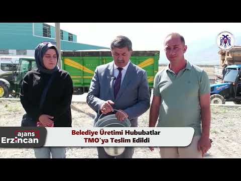 Belediye Üretimi Hububatlar TMO'ya Teslim Edildi