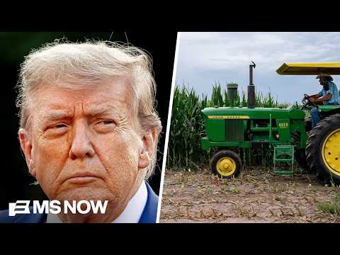 'Triple whammy': Tariffs, diesel prices and trade war have been 'devastating' to farmers