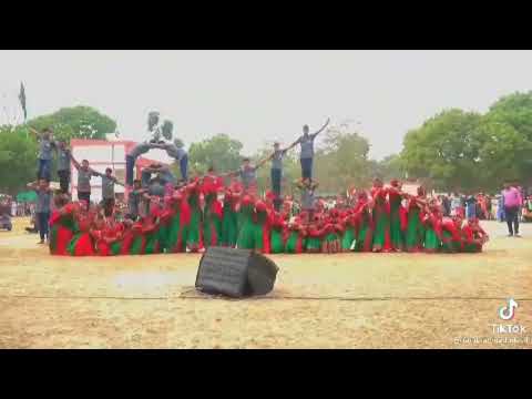 Lal sobujer bijoy nishan