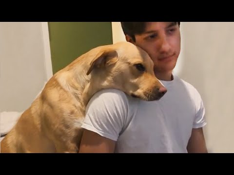 Prenez un chien, ces moments vous les aurez ! 🤣