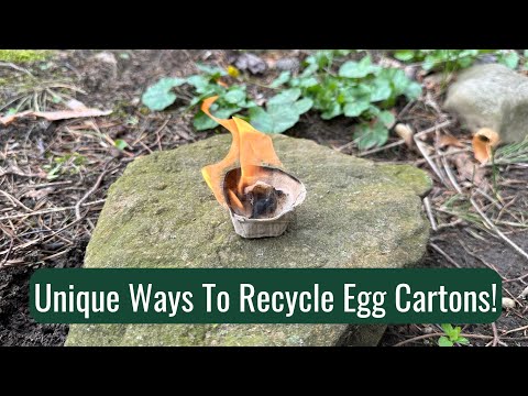 Unique Ways to Recycle Egg Cartons!