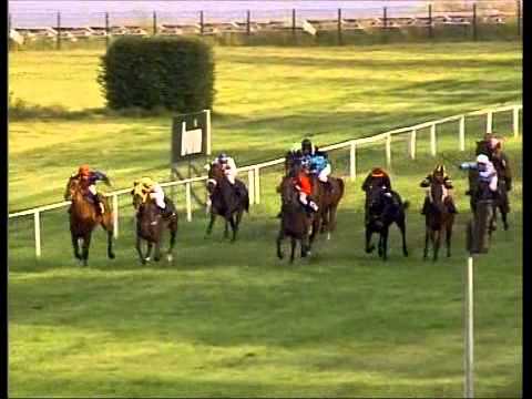 Galopprennbahn Dresden - 04.09.2011 - 7.Rennen