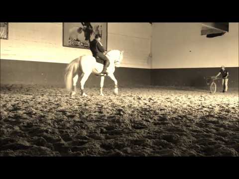 Stage Portugal de deux semaines, 1er CGEH ; Companhia das Lezírias.