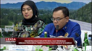 Pengembangan IKM Sebagai Penggerak Perekonomian Masyarakat Daerah - Lensa Parlemen