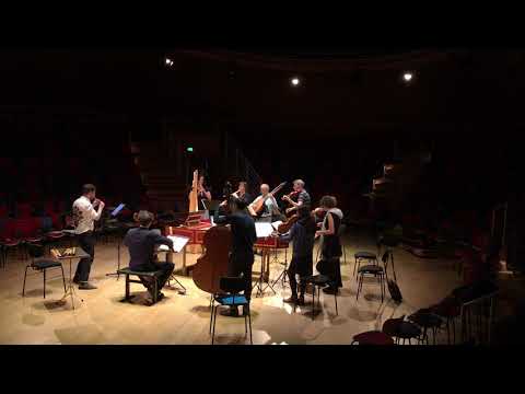 Temmingh, Mields & Capricornus Consort Basel - Handel: "Augelletti, che cantate", from Rinaldo