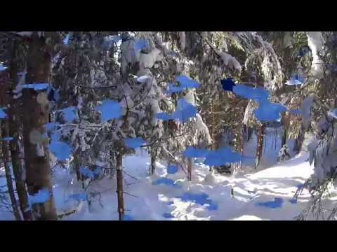 AfriBow Bericht: Final Target Winter