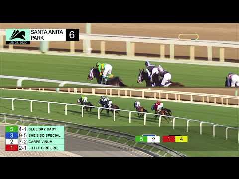 Little Bird wins Race 6 on Friday, January 31, 2020 at Santa Anita Park.