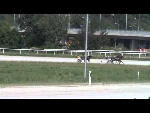 Београд Јун 9 2013 - до 5000