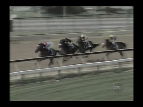 1995 Pimlico Special - ABC Broadcast