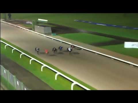 BGBF & Nottingham British Breeders Stakes Heat 4 - Acomb Winston