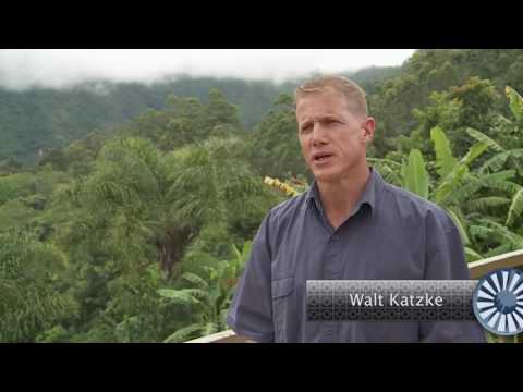 Dorp van die Jaar 2017: Finalis - Tzaneen