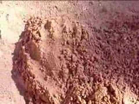 FayDasi yoK: CinneT & on-mC