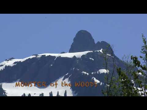 MONSTER of the WOODS Sasquatch search Summer 2018