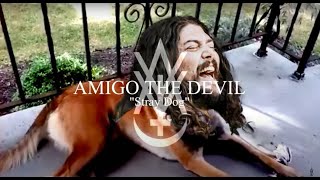 Amigo The Devil - &quot;Stray Dog&quot; - Official Lyric Video