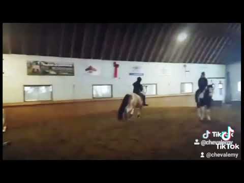 Saut- cours sans selle