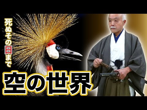 Night Talk #303 "Until the Day I Die" The World of the Sky